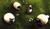 Hintergrund