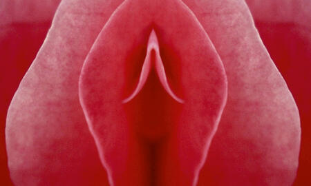 Galerie Foto