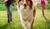 Hintergrund