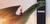 blurry background