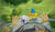Hintergrund