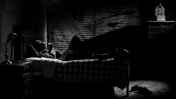 Foto im Vollbild