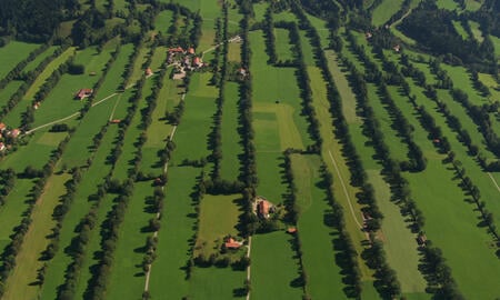 Galerie Foto
