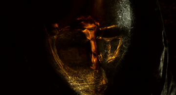 Foto im Vollbild