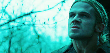 Bild zu:  Twilight