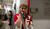 Hintergrund