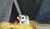 Hintergrund