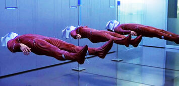 Bild zu:  The Cell