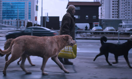 Galerie Foto