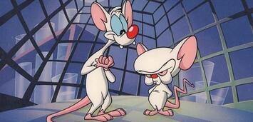 Bild zu:  Pinky und der Brain