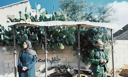 Galerie Foto