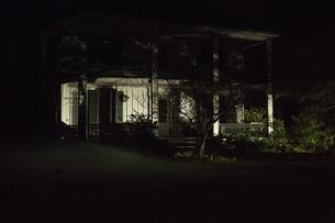 Foto im Vollbild