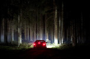 Foto im Vollbild