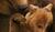Hintergrund