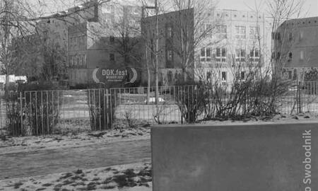 Galerie Foto