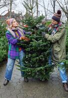 Weihnachtsüberraschungen