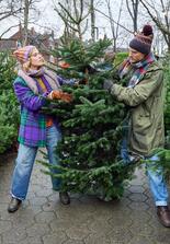 Weihnachtsüberraschungen