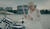 Hintergrund