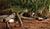 Hintergrund