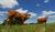 Hintergrund