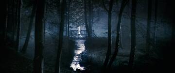 Foto im Vollbild