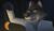 Hintergrund