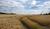 Hintergrund