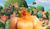 Hintergrund
