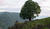 Hintergrund