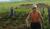 Hintergrund