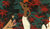 Hintergrund