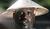 Hintergrund