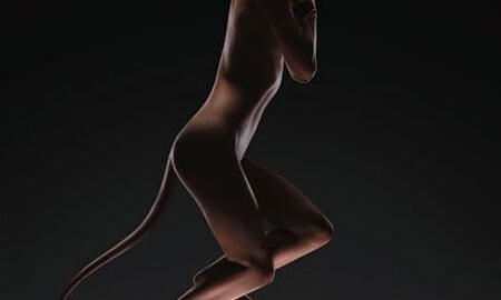 Galerie Foto