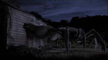 Foto im Vollbild