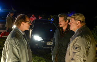 Foto im Vollbild