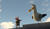Hintergrund