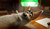 Hintergrund