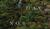 Hintergrund