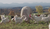 Hintergrund