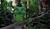 Hintergrund