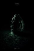 Foto im Vollbild