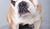 Hintergrund