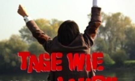 Galerie Foto