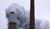 Hintergrund
