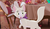 Hintergrund