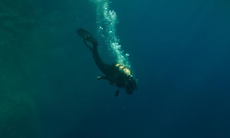 Galerie Foto