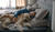 Hintergrund