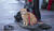 Hintergrund