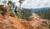 Hintergrund