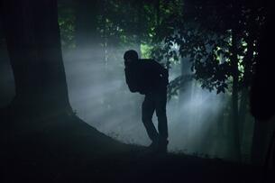 Foto im Vollbild